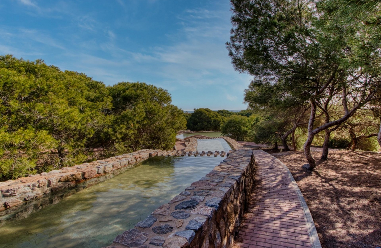 Rynek wtórny - Bungalow - Torrevieja - Parque de las Naciones