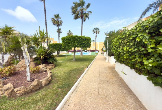 Rynek wtórny - Bungalow - Torrevieja - Torreblanca
