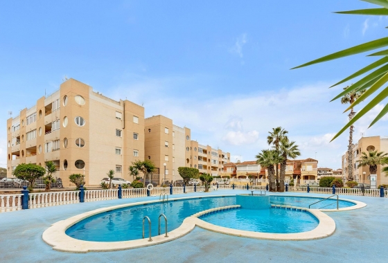 Rynek wtórny - Apartament - Torrevieja - San Luis