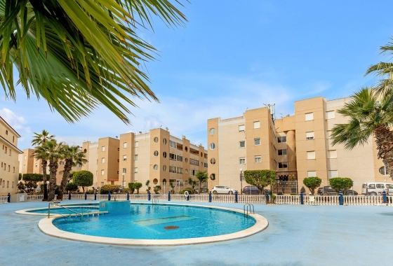 Rynek wtórny - Apartament - Torrevieja - San Luis