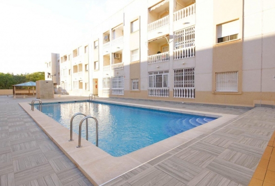 Resale - Apartment - Torrevieja - Estacion de autobuses