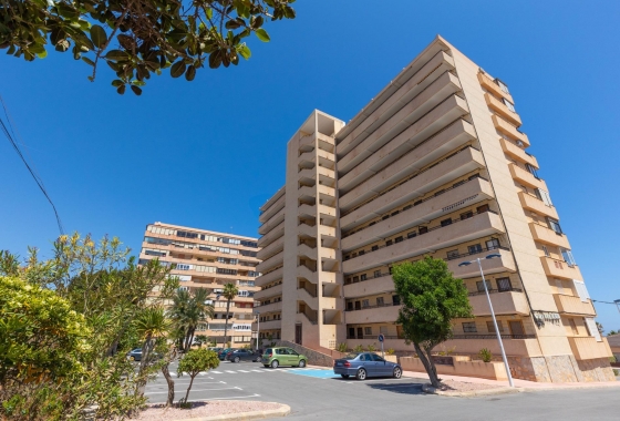Rynek wtórny - Apartament - Torrevieja - Cabo cervera