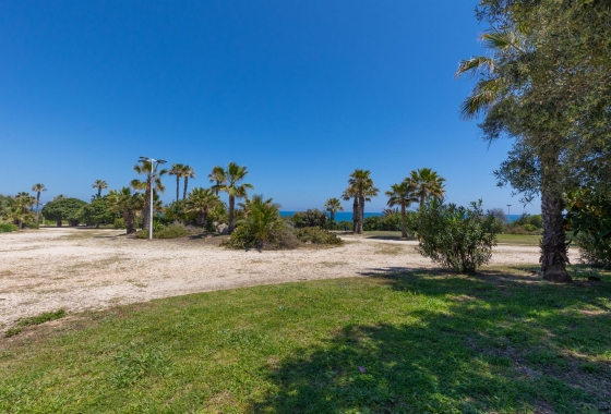 Rynek wtórny - Apartament - Torrevieja - Cabo cervera