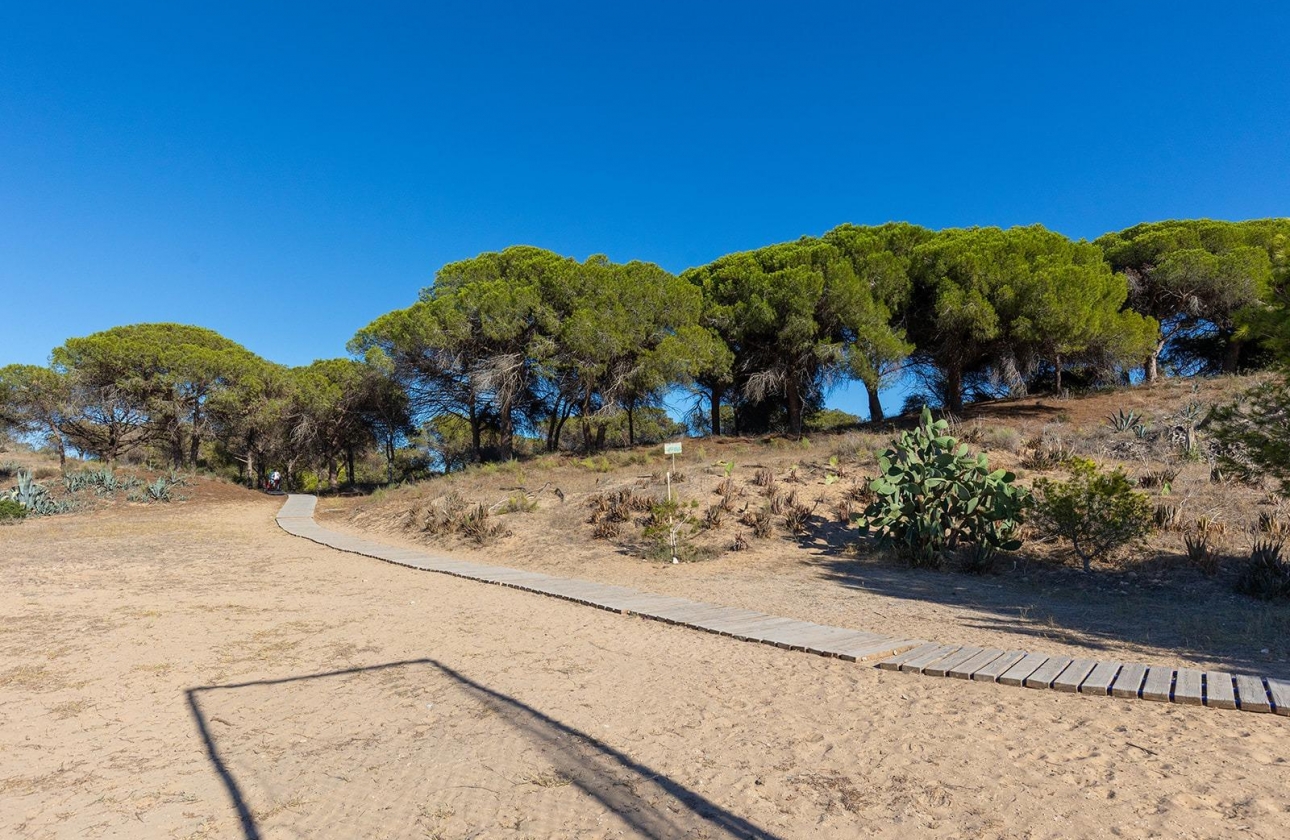 Rynek wtórny - Apartament - Guardamar del Segura - Urb. pinomar