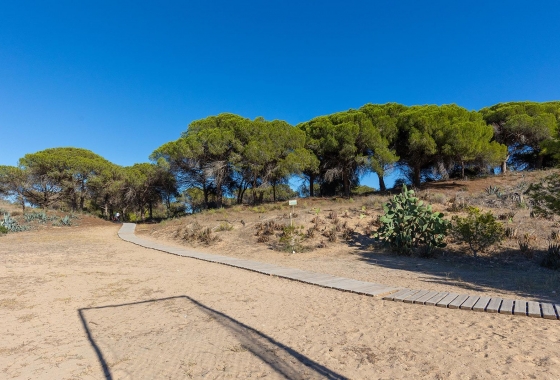 Rynek wtórny - Apartament - Guardamar del Segura - Urb. pinomar