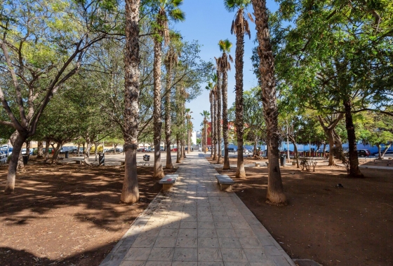 Rynek wtórny - Apartament - Torrevieja - Centro