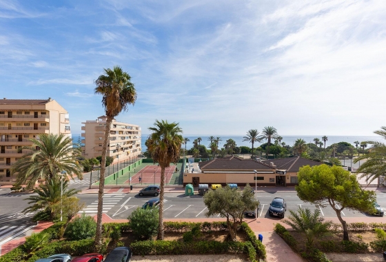 Rynek wtórny - Apartament - Torrevieja - La Mata