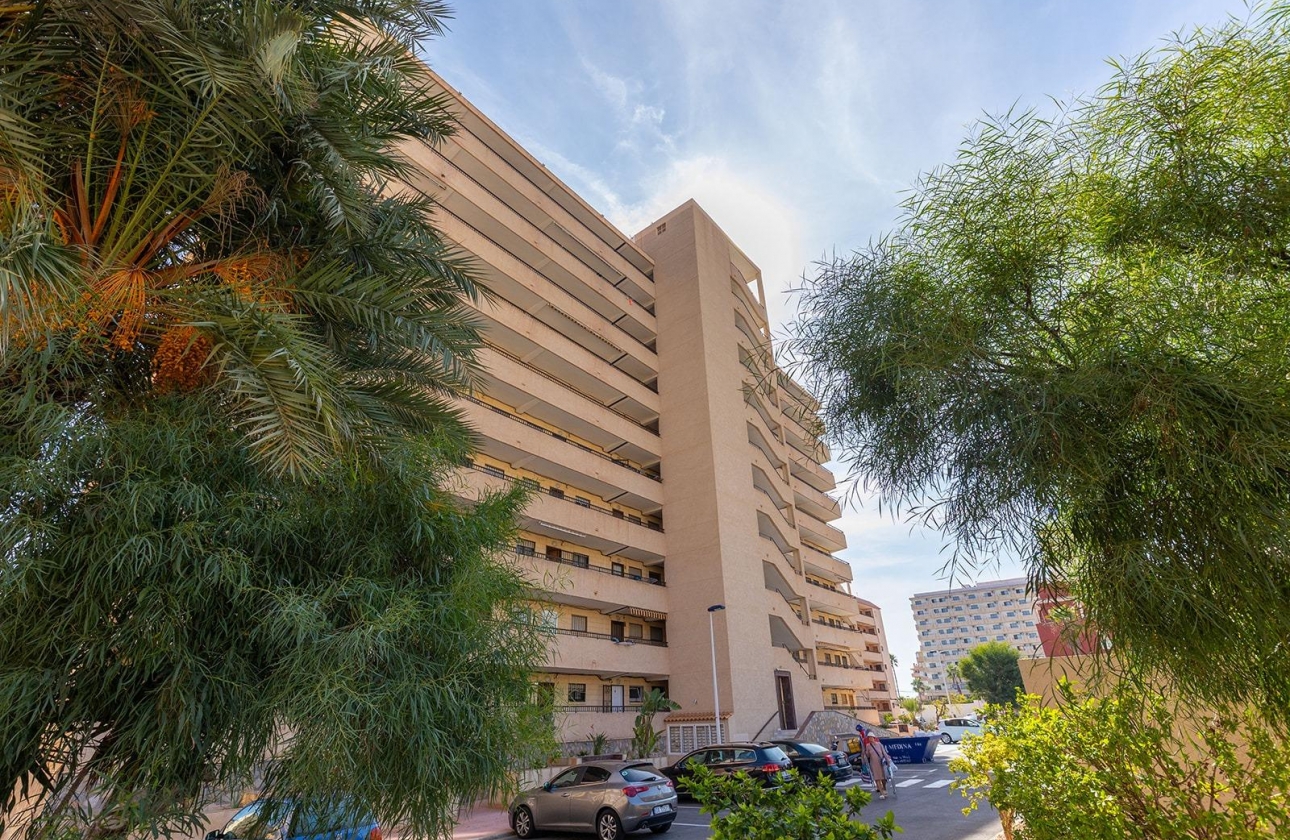 Rynek wtórny - Apartament - Torrevieja - La Mata
