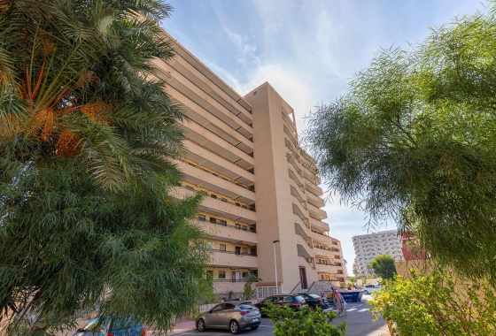 Rynek wtórny - Apartament - Torrevieja - La Mata