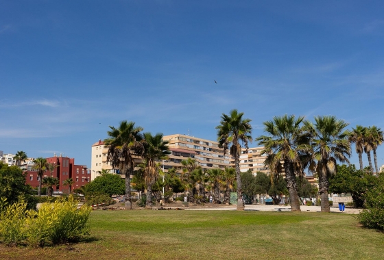 Rynek wtórny - Apartament - Torrevieja - La Mata