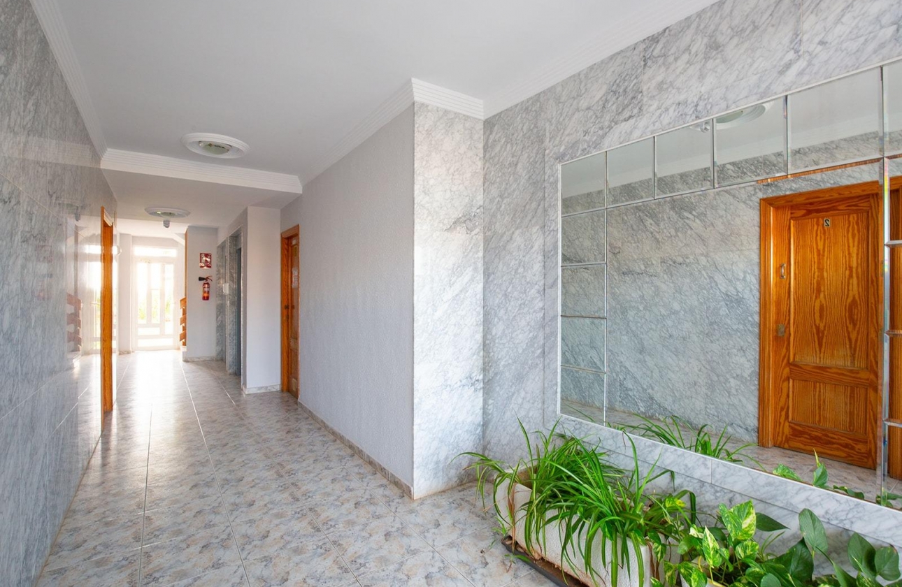 Rynek wtórny - Apartament - Torrevieja - Torreblanca