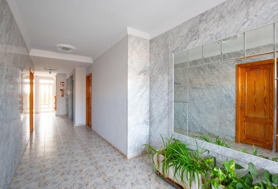 Rynek wtórny - Apartament - Torrevieja - Torreblanca