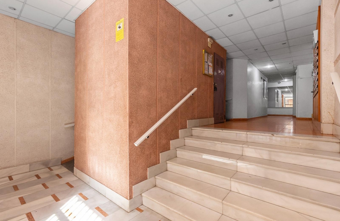 Rynek wtórny - Apartament - Torrevieja - Estacion de autobuses