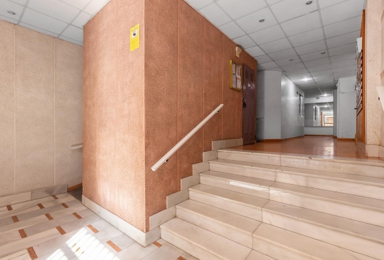 Rynek wtórny - Apartament - Torrevieja - Estacion de autobuses