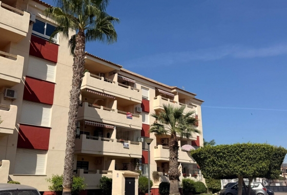 Rynek wtórny - Apartament - Alicante - La Florida