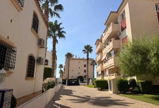 Rynek wtórny - Apartament - Alicante - La Florida