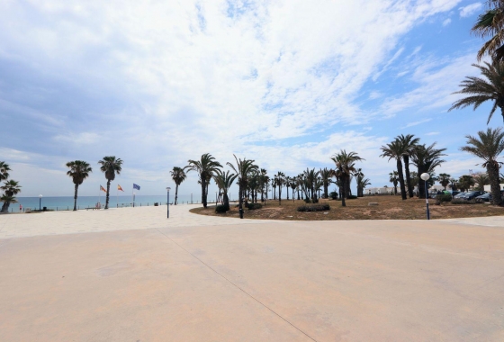 Rynek wtórny - Apartament - Torrevieja - Playa Flamenca