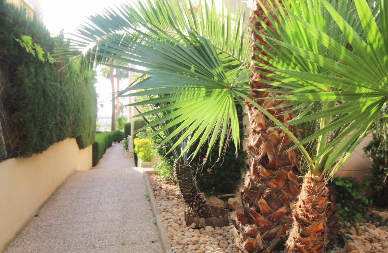 Rynek wtórny - Apartament - Torrevieja - La Veleta