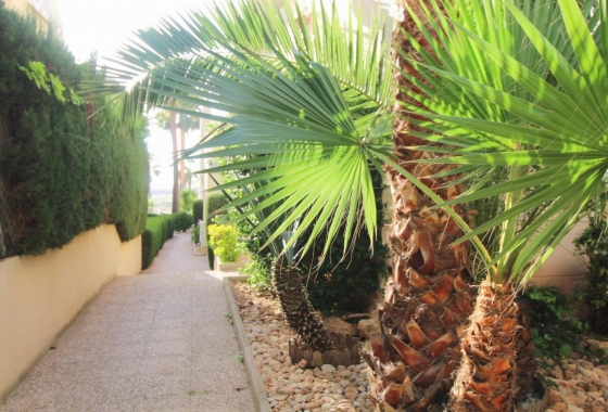 Rynek wtórny - Apartament - Torrevieja - La Veleta