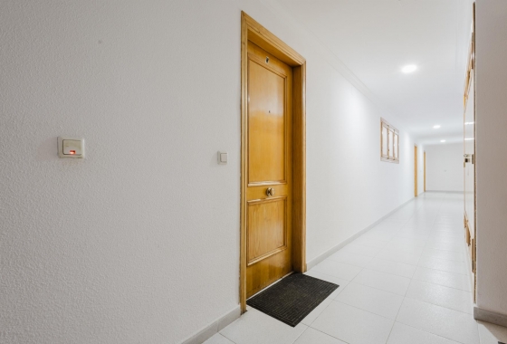 Rynek wtórny - Apartament - Torrevieja - Acequion