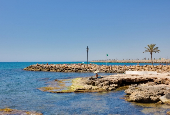 Rynek wtórny - Apartament - Torrevieja - Parque de Las Naciones