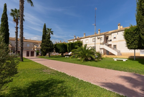 Wynajem długoterminowy - Bungalow - Torrevieja - Zona los Frutales