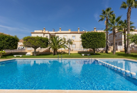 Wynajem długoterminowy - Bungalow - Torrevieja - Zona los Frutales