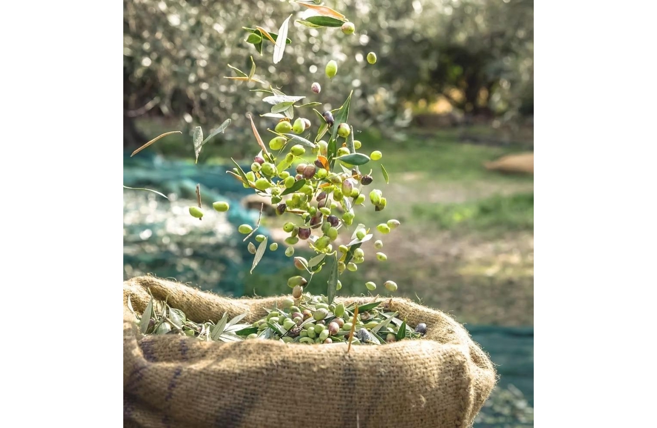 Reventa - Country House - Murcia - Rincón de Seca