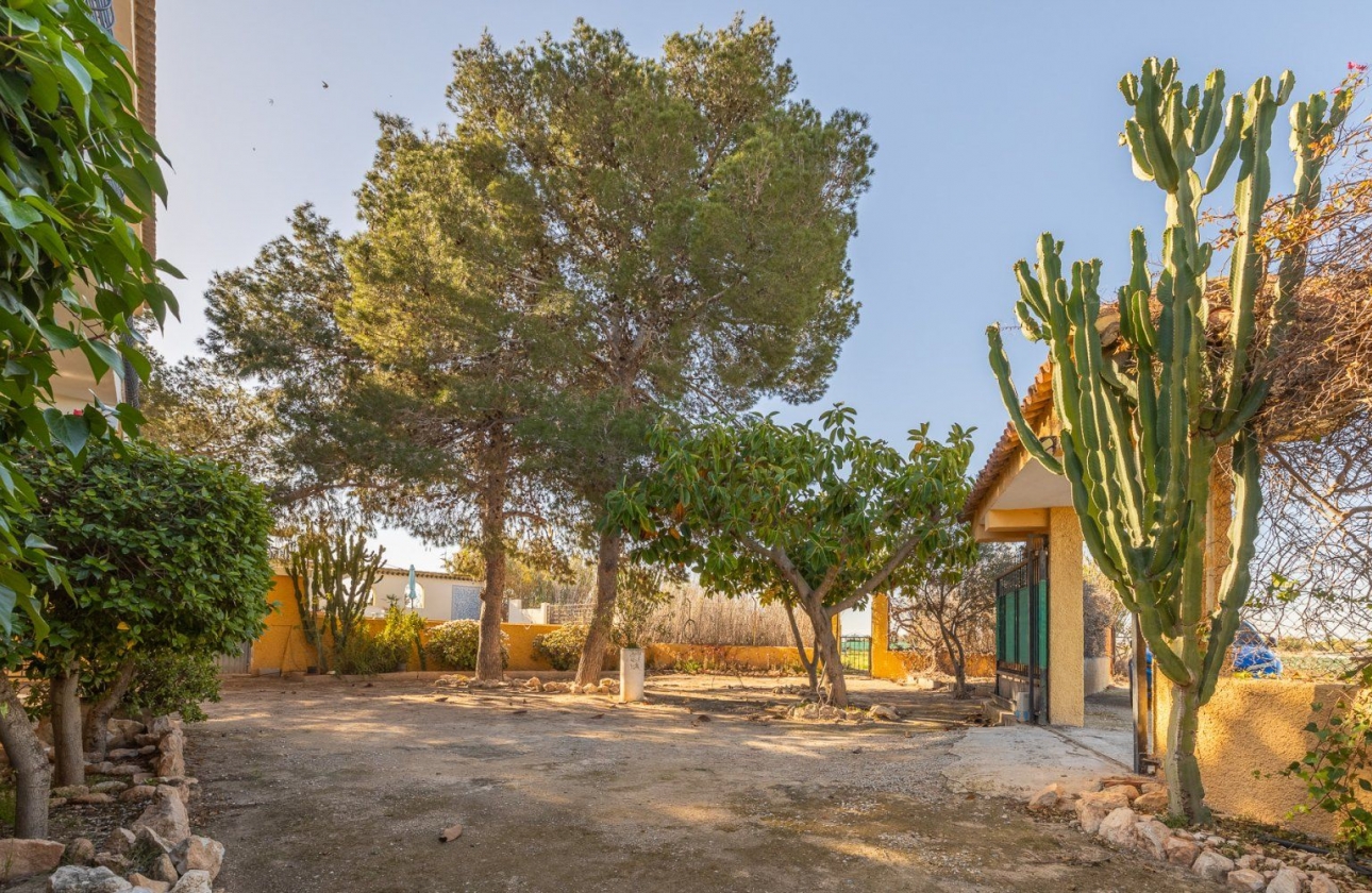 Rynek wtórny - Villa - Los Montesinos