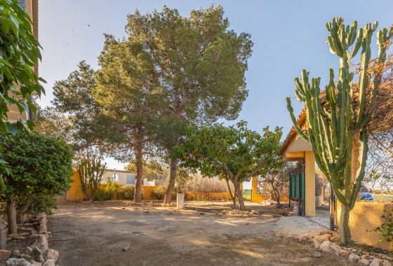 Rynek wtórny - Villa - Los Montesinos