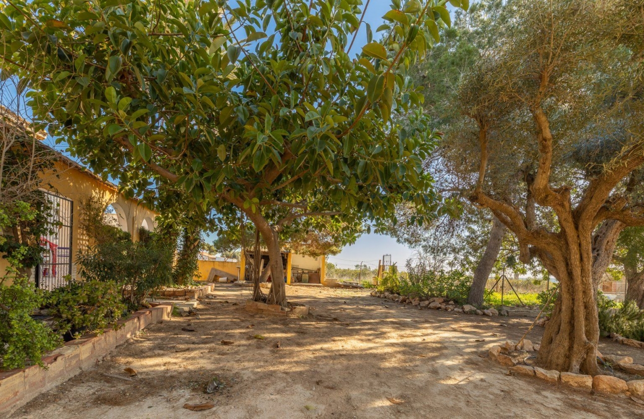 Rynek wtórny - Villa - Los Montesinos