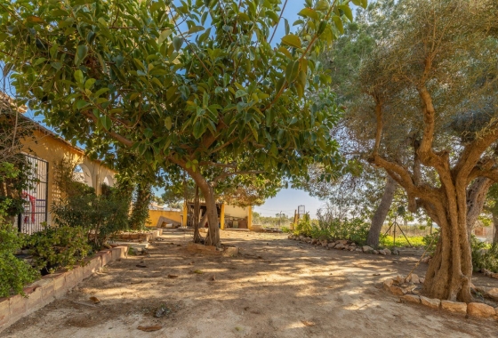 Rynek wtórny - Villa - Los Montesinos