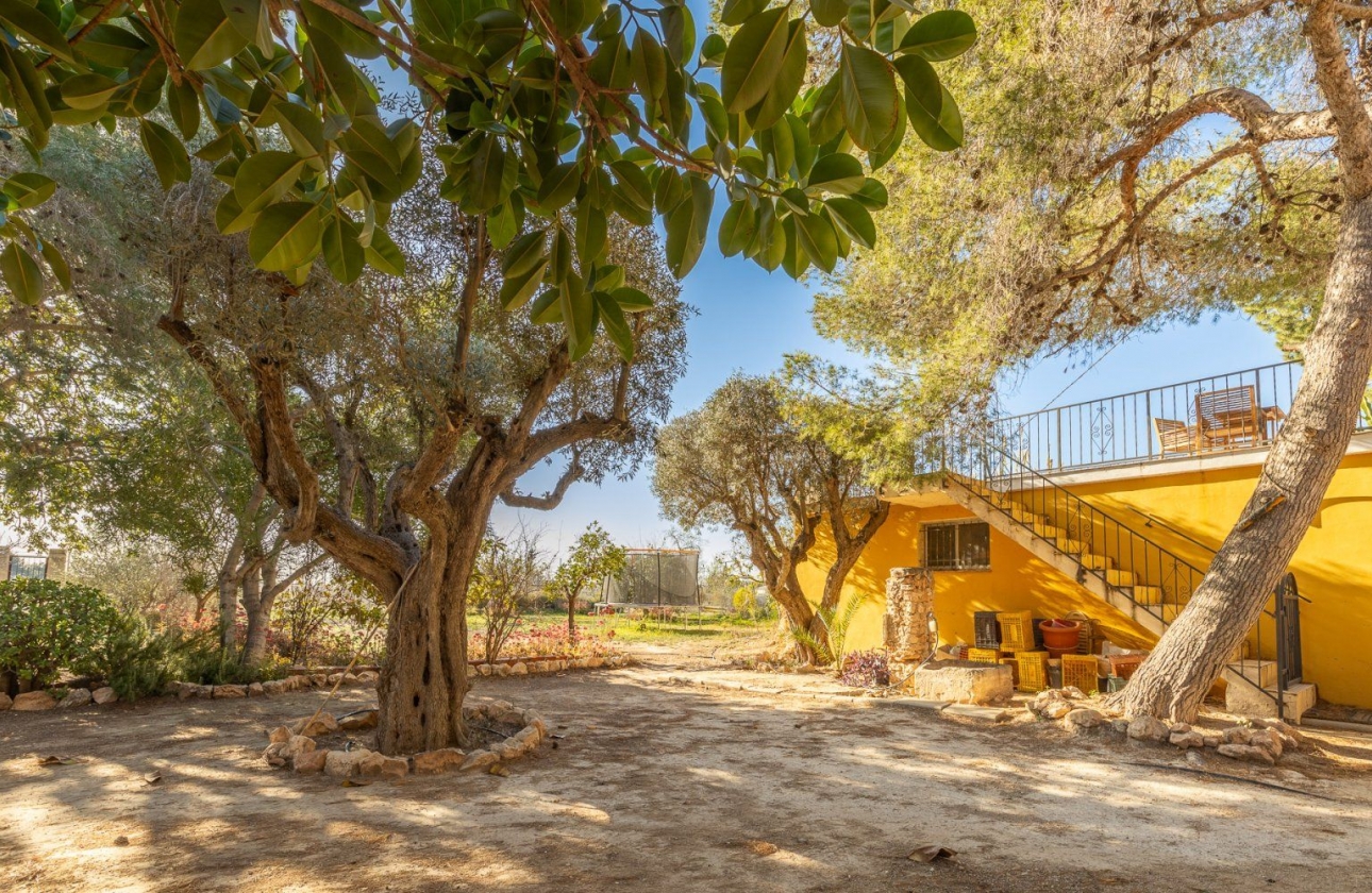 Rynek wtórny - Villa - Los Montesinos