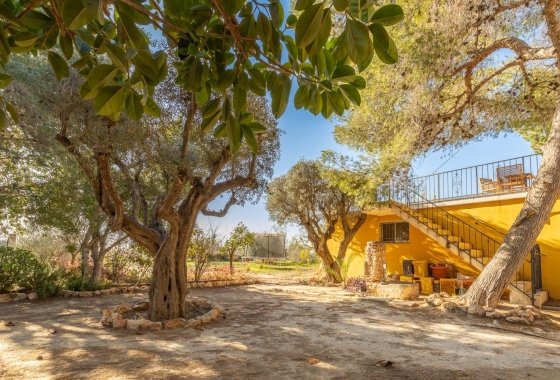 Rynek wtórny - Villa - Los Montesinos