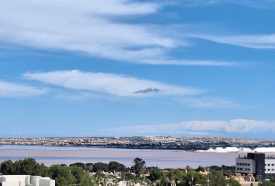 Rynek wtórny - Apartament - Torrevieja - Los Balcones