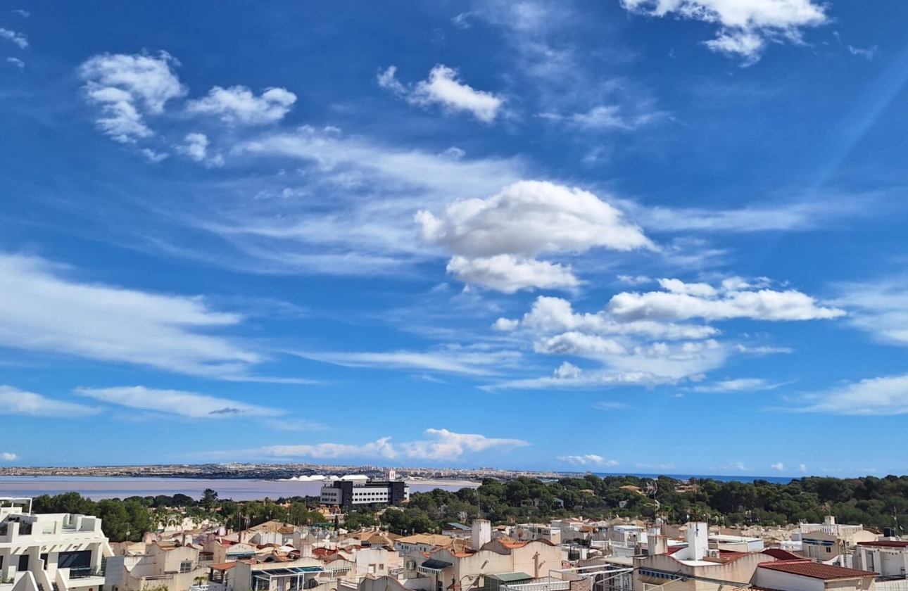 Rynek wtórny - Apartament - Torrevieja - Los Balcones