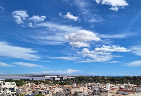 Rynek wtórny - Apartament - Torrevieja - Los Balcones