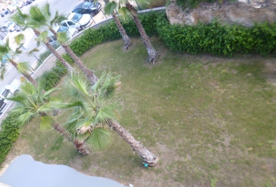 Rynek pierwotny - Apartament - Torrevieja - Los Altos