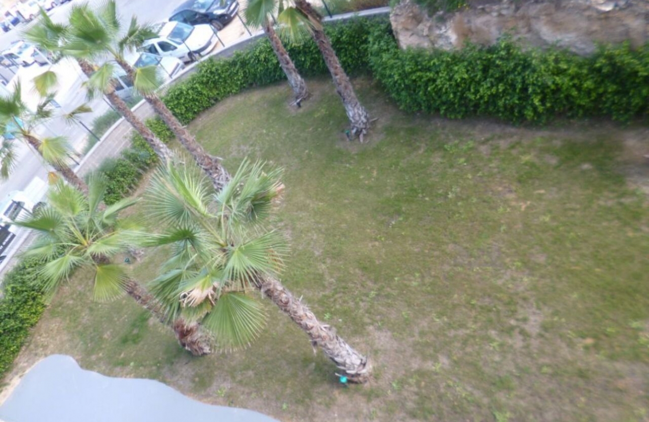 Rynek pierwotny - Apartament - Torrevieja - Los Altos