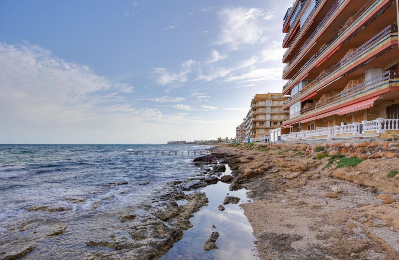 Rynek wtórny - Apartament - Torrevieja - Playa De Los Naufragos