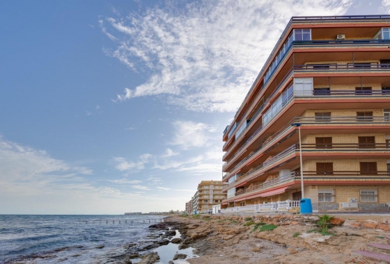 Rynek wtórny - Apartament - Torrevieja - Playa De Los Naufragos