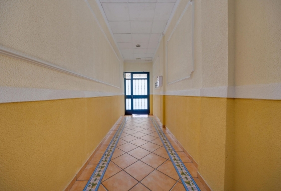 Rynek wtórny - Apartament - Torrevieja - Centro
