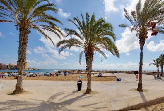 Rynek wtórny - Apartament - Torrevieja - Centro