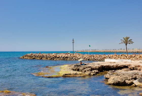 Rynek wtórny - Apartament - Torrevieja - Centro