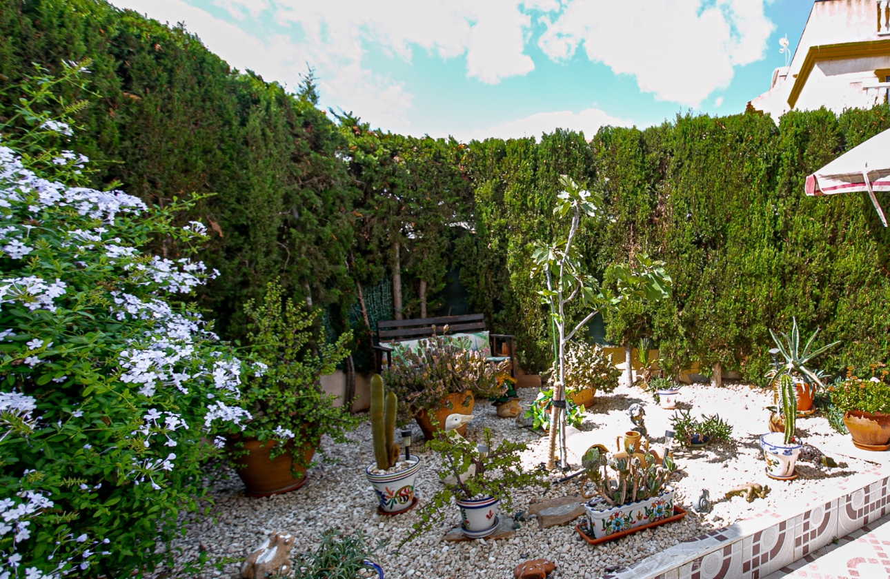 Rynek wtórny - Apartament - Orihuela Costa - Playa Flamenca