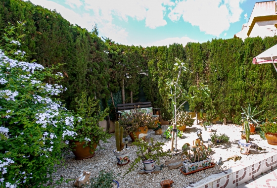 Rynek wtórny - Apartament - Orihuela Costa - Playa Flamenca