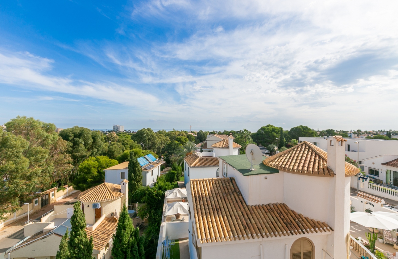 Rynek wtórny - Apartament - La Zenia - Beachside