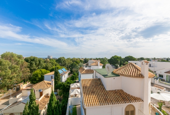 Rynek wtórny - Apartament - La Zenia - Beachside