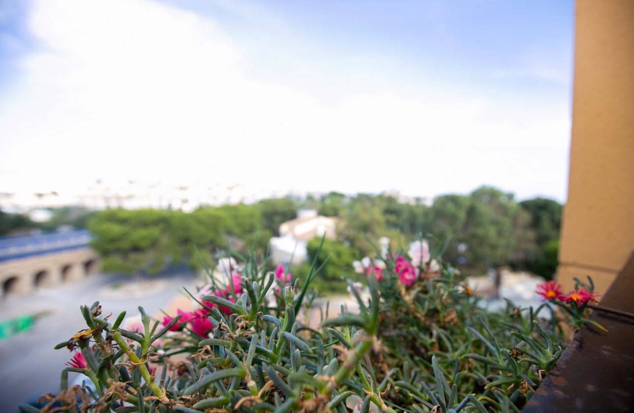 Rynek wtórny - Apartament - La Zenia - Beachside