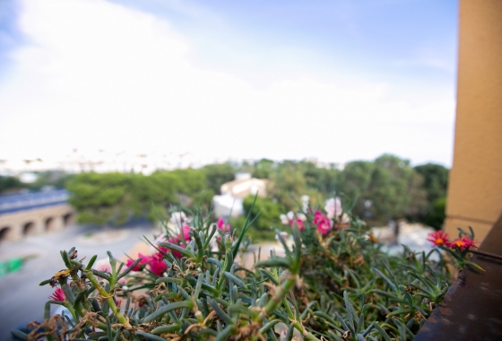 Rynek wtórny - Apartament - La Zenia - Beachside